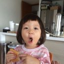 오물오물 TV리포트