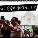 황금의자 이미지
