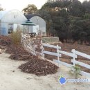 상희목장 이미지