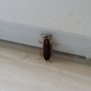 형우식품 이미지