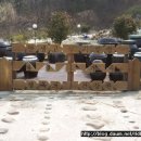 행복건강원 이미지