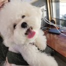 ZIO헤어 이미지