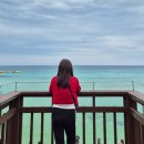 델문도 | 제주 함덕해수욕장 오션뷰 카페 델문도 내돈내산 후기