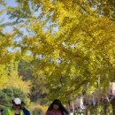 은행보건진료소 이미지