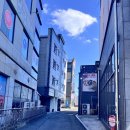 줄리도넛 이미지