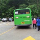 동진버스 이미지