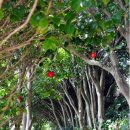 휴먼 & 카 이미지