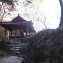 토끼의점심