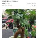 언더더씨 이미지