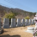 대구 도동 측백수림 인근 '詩碑동산’ 조성 이미지