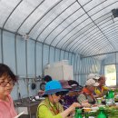 대연농장 이미지