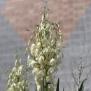 고내리 경로당 이미지