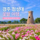 경주 첨성대 꽃밭 경상도 여행지 추천 금영화 양귀비 데이트 코스