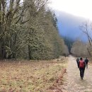 엘와이지 이미지