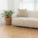 편한 의료기 이미지