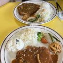 돌체경양식 이미지