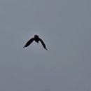 고래실길 이미지