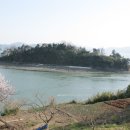 사천대교로 이미지