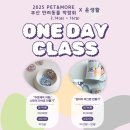 펫인샵(PET IN SHOP) | 2025 PET&amp;MORE 펫앤모어 부산 반려동물 박람회, BEXCO(02.14~02.16) 원데이클래스 파충류샵