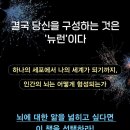 흥미진진 과학실험(B) 이미지