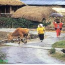 청수다락 이미지