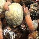 남해 회 해산물 이미지