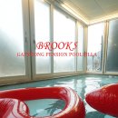 브룩5(BROOK5) 이미지