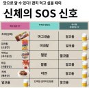 신체 이미지