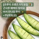 과일프렌즈