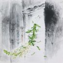 도화선한국화학원 이미지