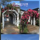 솔빛아래펜션