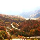 도마령 전망대 화장실 이미지