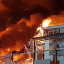 팔도전자 이미지