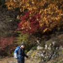 수산리-1 이미지