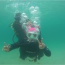 함덕스쿠버다이빙 이미지