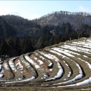 예사향농원 이미지