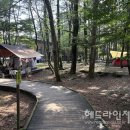 붉은오름자연휴양림 헤드라인제주