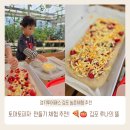 토마토피자 | [경기투어패스 김포④] 루나의 뜰 ｜자연 속에서 즐기는 토마토피자 만들기 체험 후기🍕
