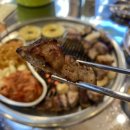 팡팡 경희대점 네이버블로그