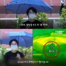 양산 이미지