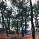 솔숲하우스 이미지