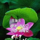 *황금 미학＜2023년9월4일＞(🍒💖 (風雲之會) : 다산과 정조대왕의 만남💖🍒)* 이미지