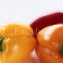 비젼케어 이미지