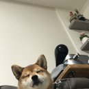 뭉치농장 이미지