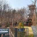 금강도서관 (옥내1) | 광교호수공원 푸른숲도서관 푸른숲 책뜰 이용방법 금강초롱 후기