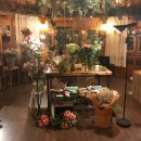 카페더숲 이미지