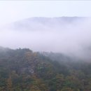 동강성당 Daum카페