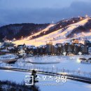 (공연) 어린이 뮤지컬 <목 짧은 기린 지피>1 이미지