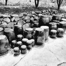 삼막골농원 이미지