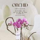 서초대로46길 80 이미지